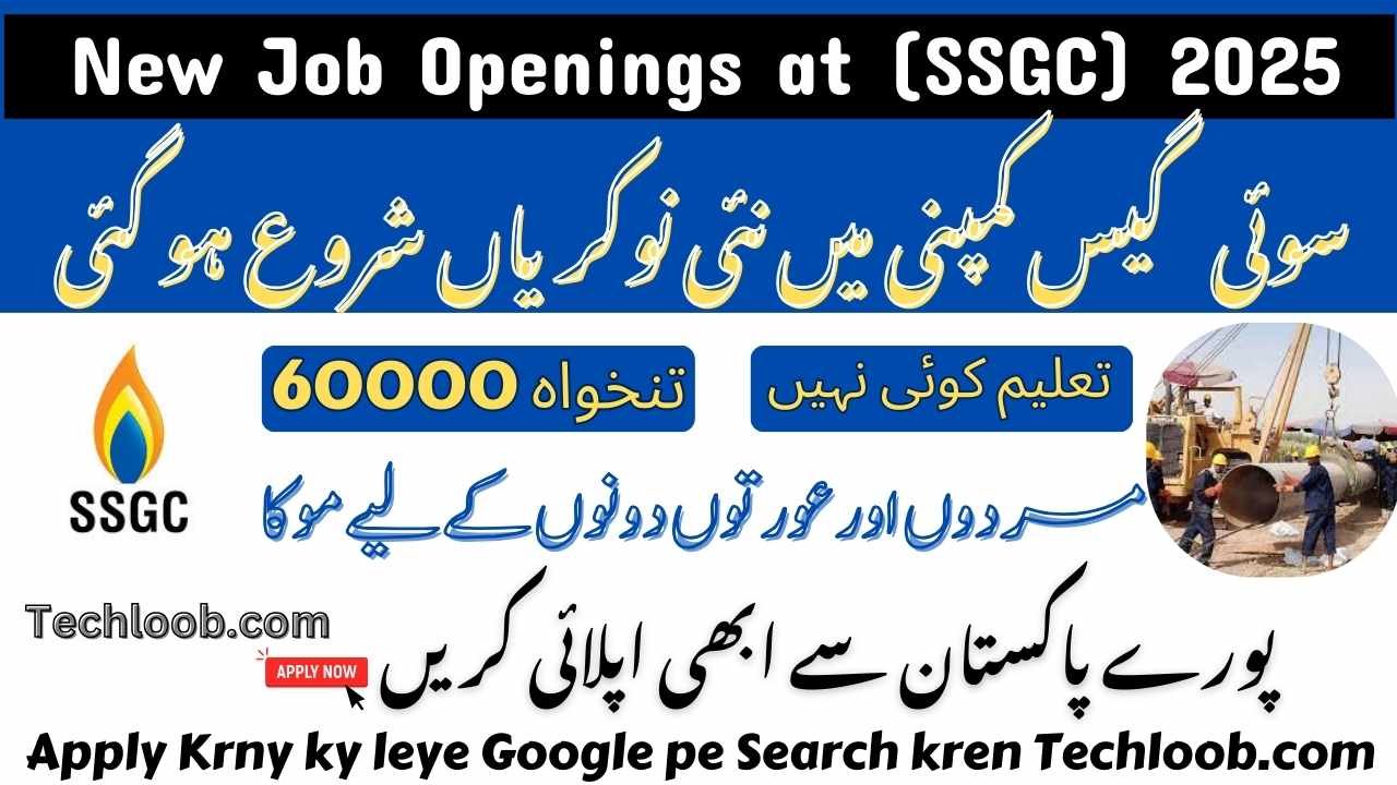 Job Openings at Sui Southern Gas Company Limited